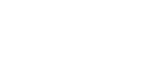 Speedometer dial