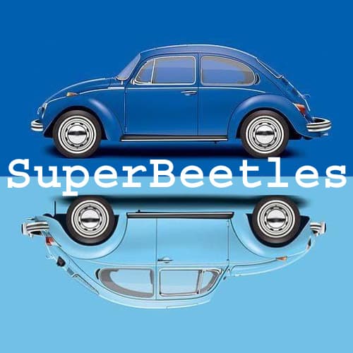 41st Annual NW Bug Run