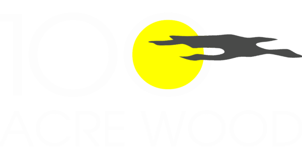 Rally in the 100 Acre Wood