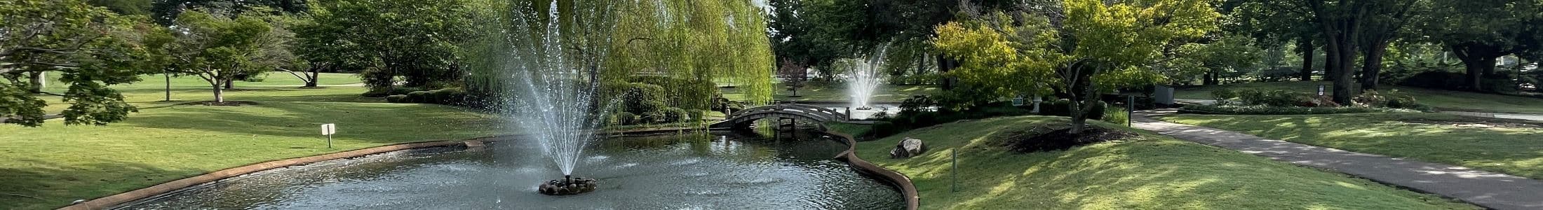 Bartlett Festival Car Show & BBQ