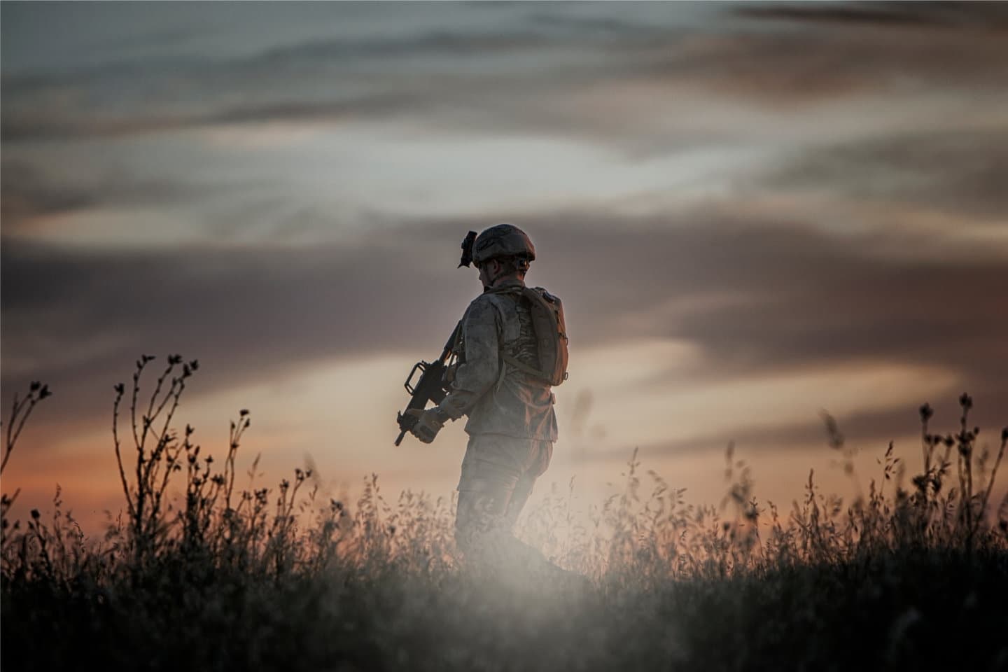 Dunedin Cars and Coffee