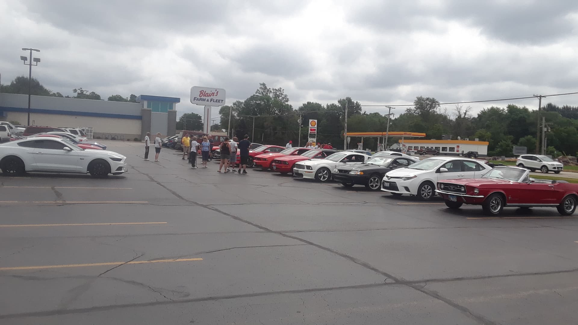 Rock Valley Mustang Club Charity Car Show