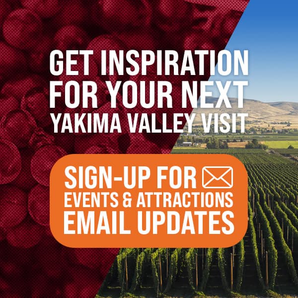 Red White and BBQ Car Show