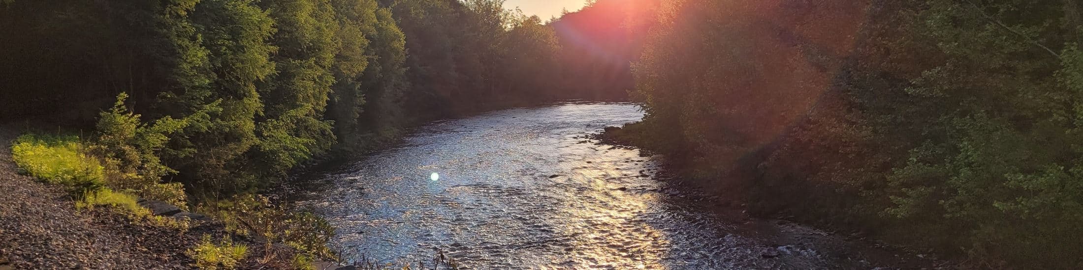 Cranker's Collection Open House and Car Cruise