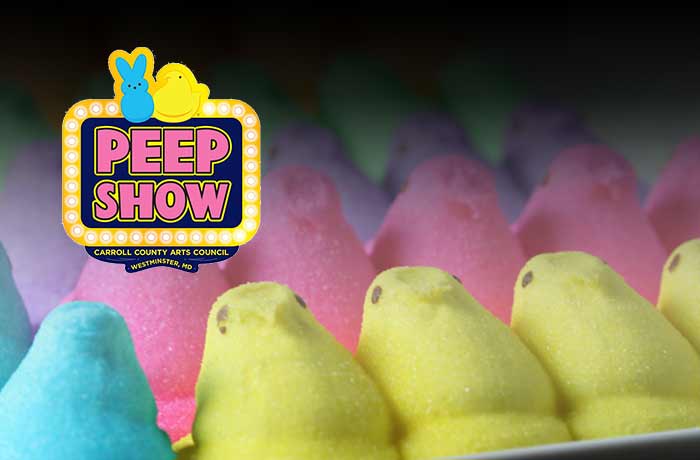 Carroll County Car Fest