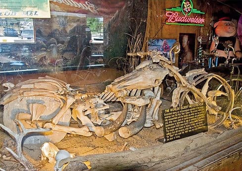 Bike Week at Kickstart Saloon