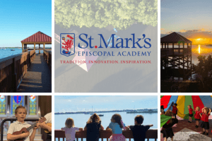 Satellite Beach Lion