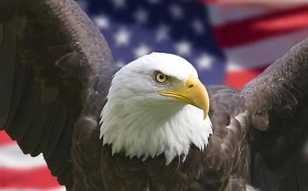 Delaware Valley Road Runners Car Club