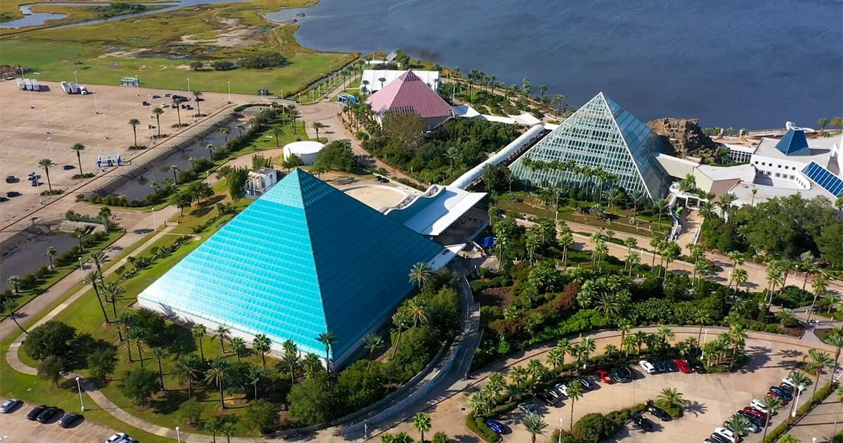 Moody Gardens Car Show