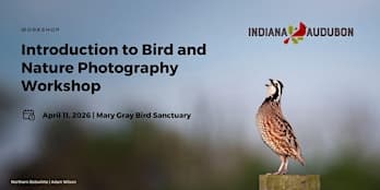 Introduction to Bird and Nature Photography Workshop