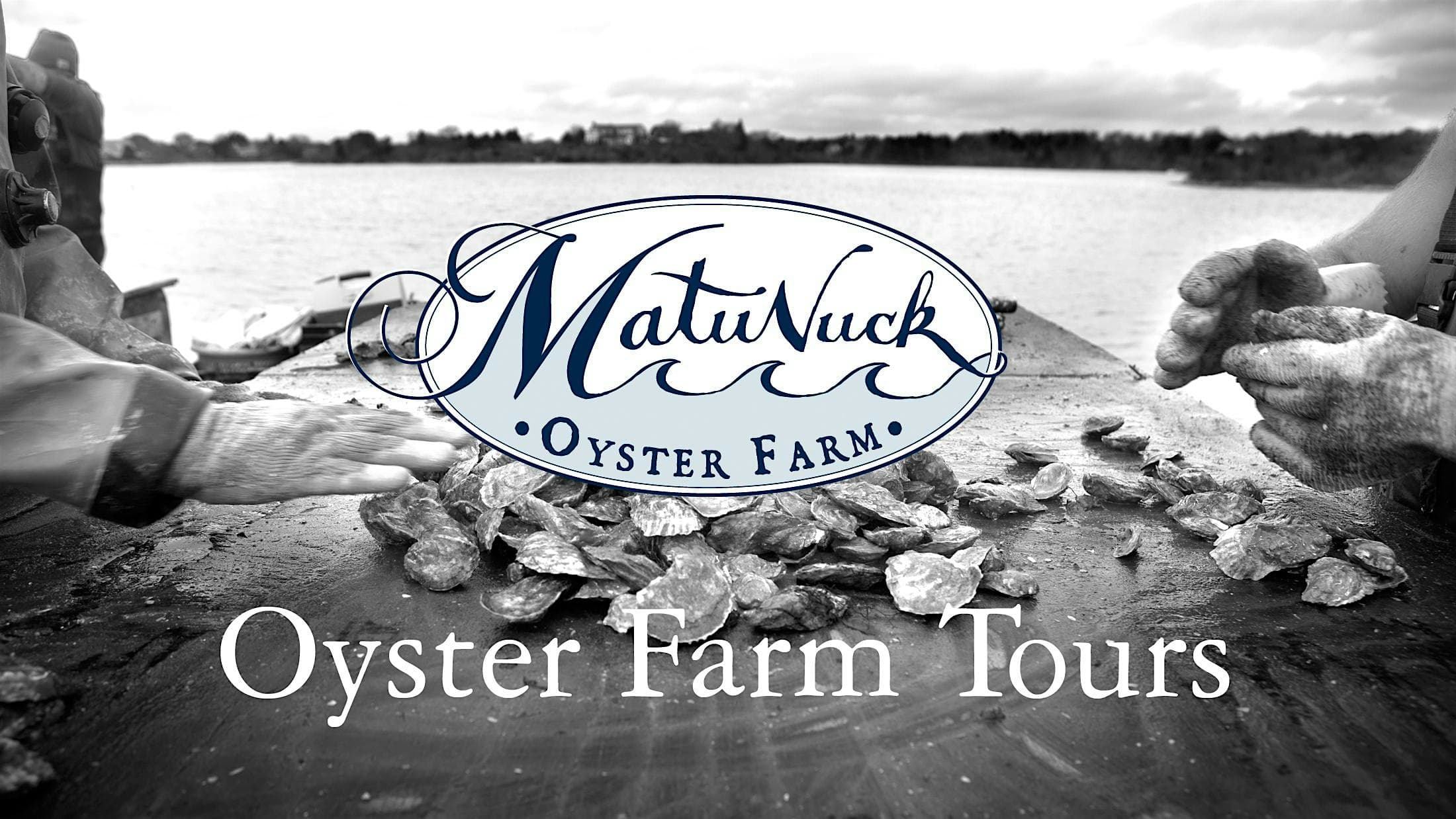 Oyster Farm Tour