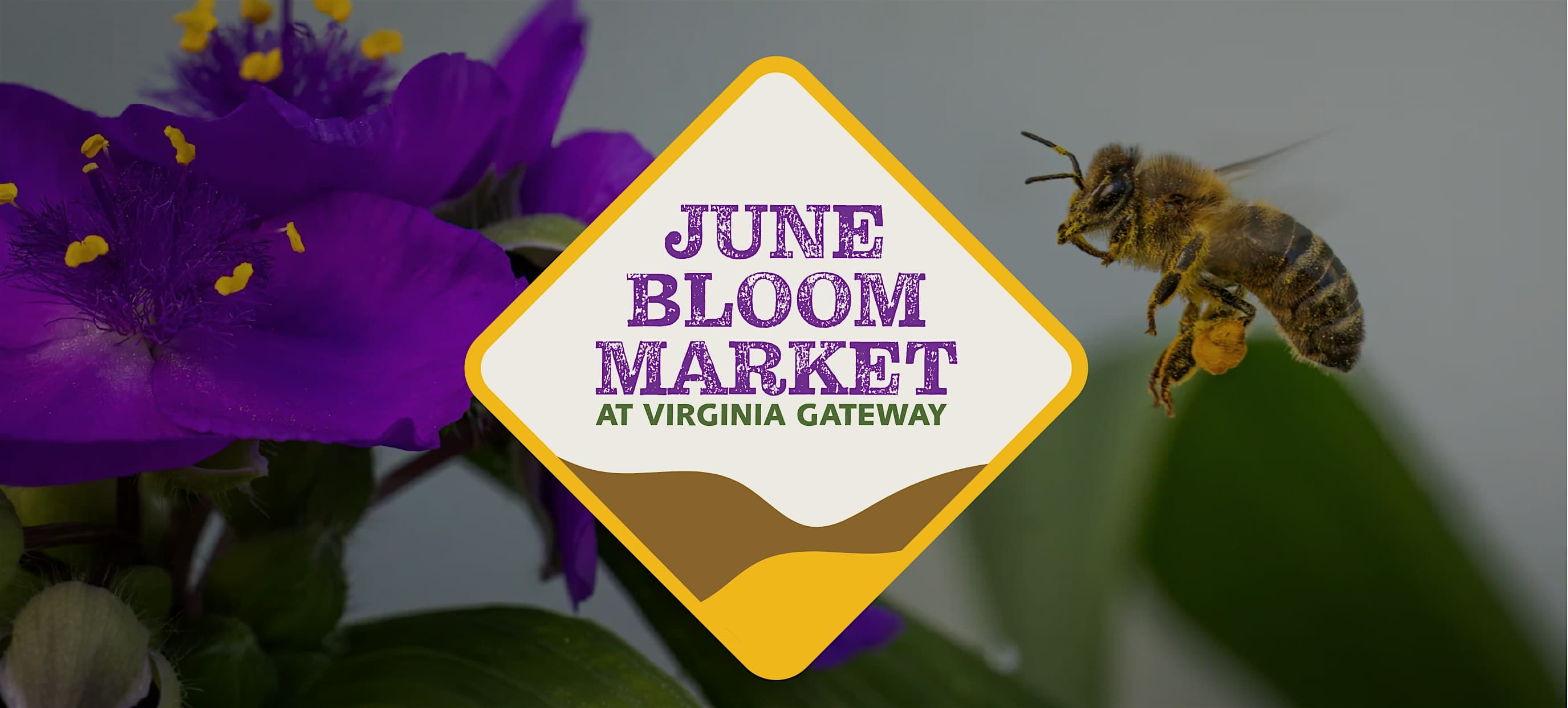 June Bloom Market - Virginia Gateway