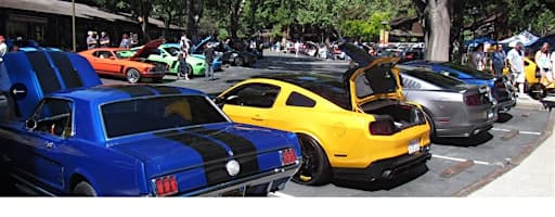 Ponies & Snakes 2026