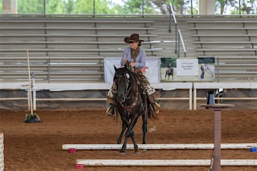 USA Working Equitation Licensed Show May 2026 @ Brandreth Farms