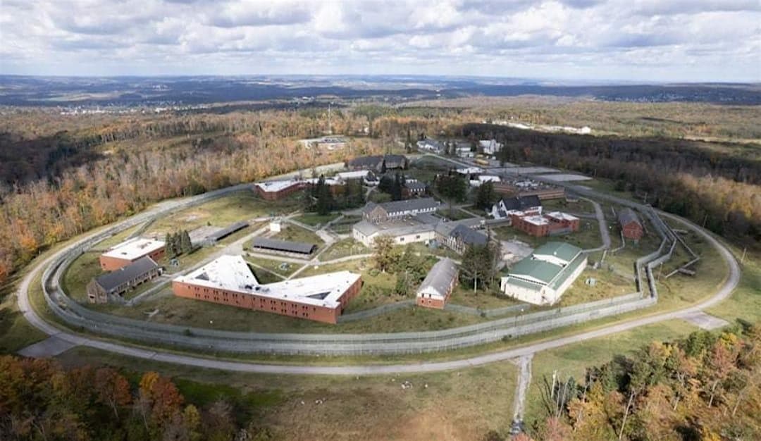 The Syndicate 6: The return home