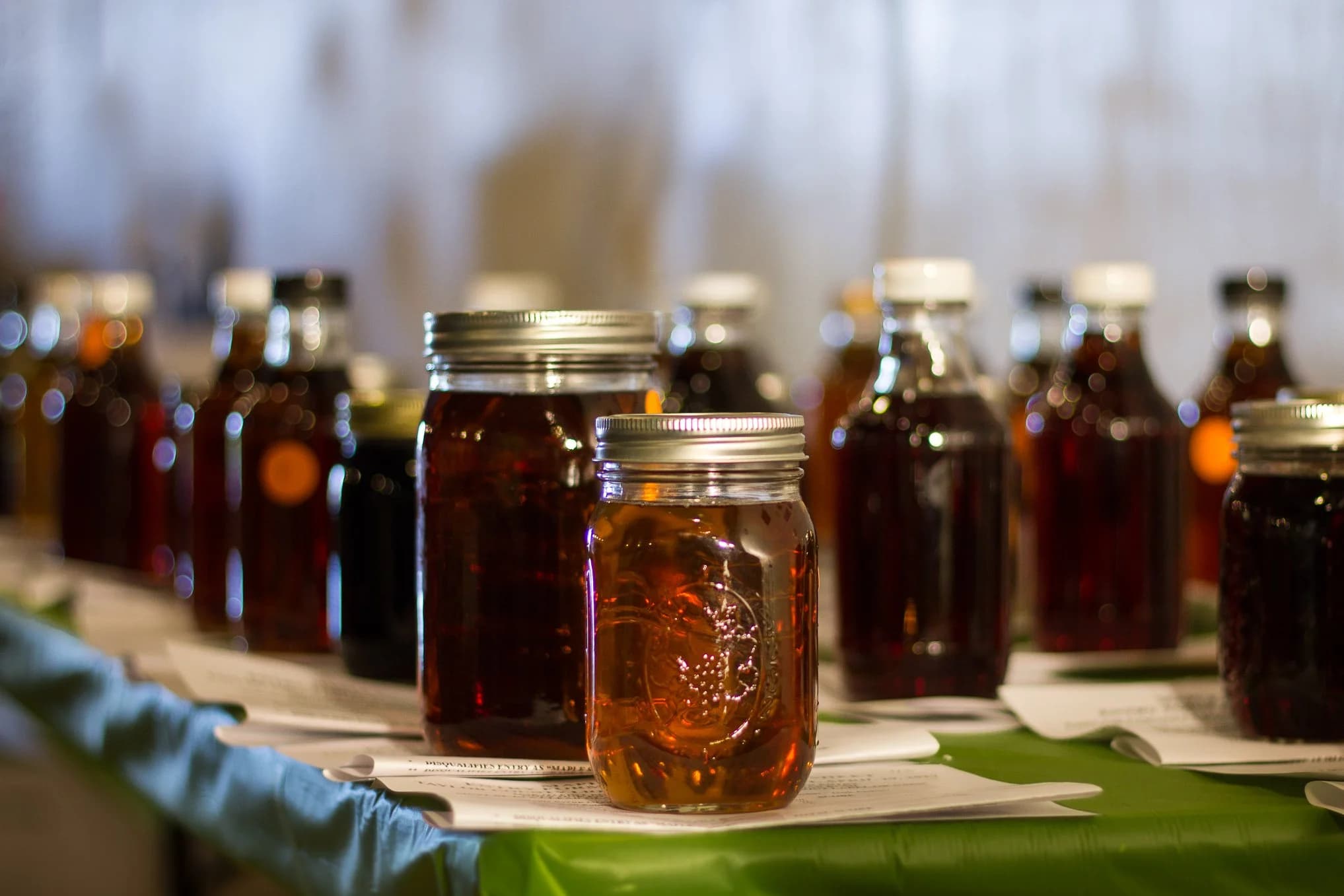 2026 Taylor County Lions Maple Fest