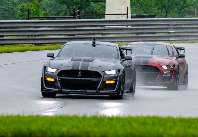 Ponies in the Ozarks 2026