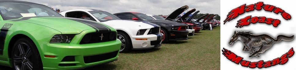 All Ford Powered Car and Truck Show