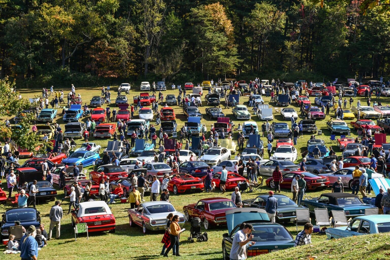 Rockville Antique and Classic Car Show
