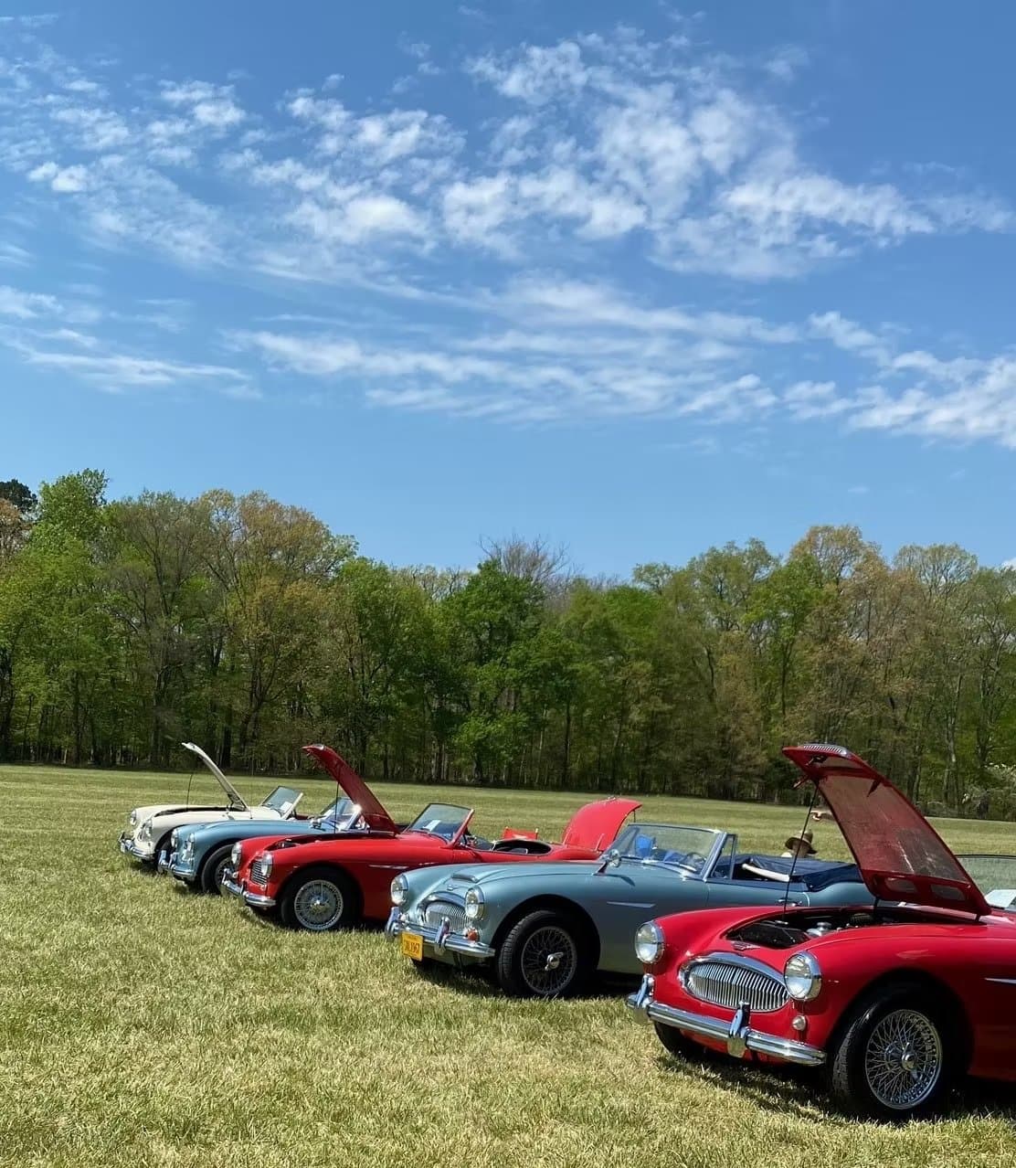 Britain on the Green